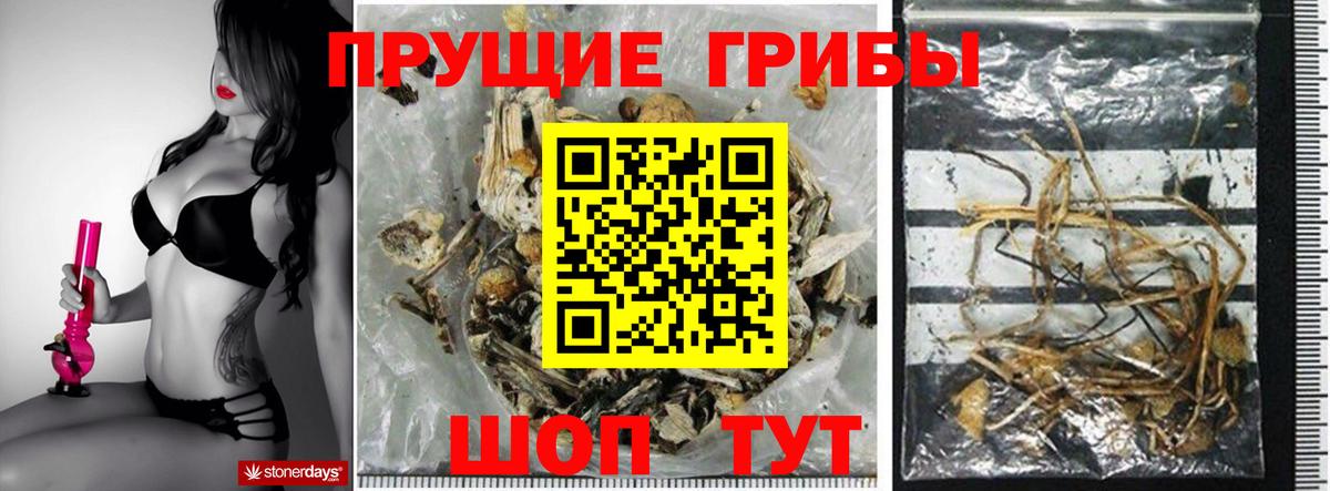 Псилоцибиновые грибы Cubensis  продажа наркотиков  Арсеньев  Вход с VPN 